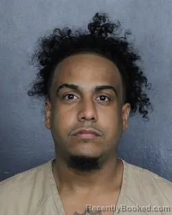 Mugshot of CHRISTIAN JOEL FERNANDEZ booked in Broward County, Florida on June 19, 2026
