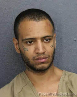 Mugshot of Michael Daniel Michnowicz booked in Broward County, Florida on July 13, 2026