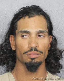 Mugshot of FELIX FERNANDEZ booked in Broward County, Florida on April 25, 2026