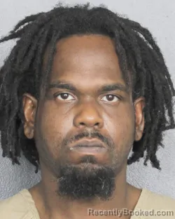 Mugshot of BRAD ELLIOT TELSIN