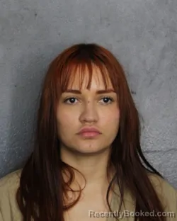 Mugshot of Ingrid Vanessa Valdiviezo booked in Broward County, Florida on October 11, 2026