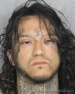 Mugshot of BRIAN SMITH