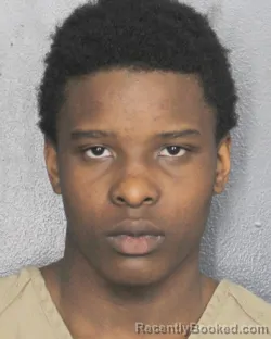 Mugshot of E MARRI DONTRLL SIMMONS