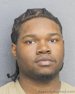 Mugshot of FADEL ARISTIL