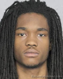 Mugshot of DOMONIC VERON TAPPER booked in Broward County, Florida on March 14, 2026