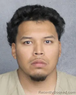 Mugshot of JORGE ANDRES
