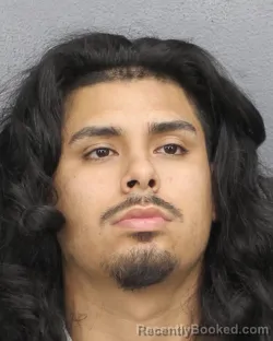 Mugshot of ENZO PAOLO DELUCCHI booked in Broward County, Florida on May 15, 2026