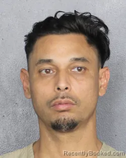 Mugshot of JAMES STAPLETON KRICK booked in Broward County, Florida on May 20, 2026