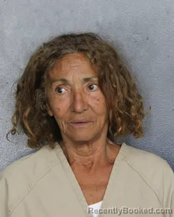 Mugshot of Maria Penha Diniz booked in Broward County, Florida on July 31, 2026