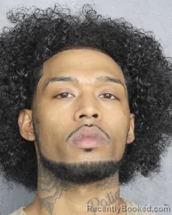 Booking photo from Broward County, Florida