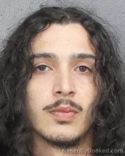 Mugshot of ANTHONY LEE LEBRON booked in Broward County, Florida on April 30, 2026
