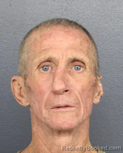 Mugshot of DANIEL PATRICK DONOVAN