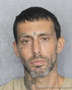 Mugshot of ANTHONY EDWARD TRAPCHAK