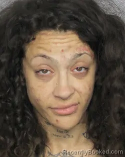 Mugshot of CELENA MARIE BURGOS booked in Broward County, Florida on March 14, 2026