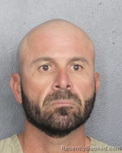 Mugshot of BRIAN MCADAM