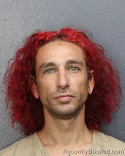 Mugshot of GIOVANNI LEONE booked in Broward County, Florida on June 11, 2026