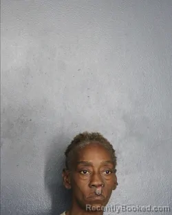 Mugshot of Harreatte Darline Singleton Hanberry booked in Broward County, Florida on July 27, 2026