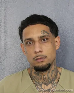 Mugshot of Kani Anthony Pitter booked in Broward County, Florida on August 1, 2026