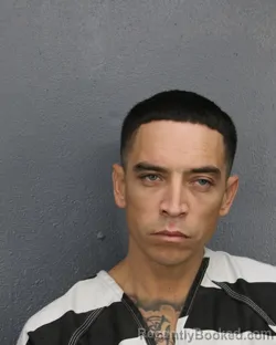 Mugshot of Michael John Guido Mcdonald booked in Broward County, Florida on August 24, 2026