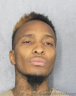 Mugshot of ANTRON LAVON FRANKLIN