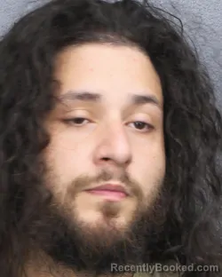 Mugshot of STEVE JOEL ZELAYA