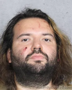 Mugshot of STEFAN WOLFGANG OTT booked in Broward County, Florida on March 17, 2026