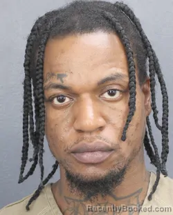 Mugshot of DESI DOMINIC HENERY