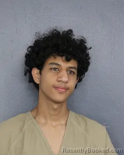 Mugshot of Jamal Jarallah Hindi booked in Broward County, Florida on July 30, 2026