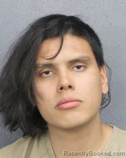 Mugshot of LUIS ALEJANDRO VEGA