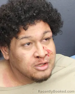 Mugshot of IVIS GERALDO RAUDALES