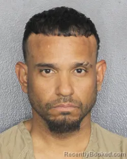 Mugshot of DAYAN NOA