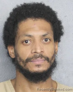 Mugshot of BRIAN FUNDERBURK