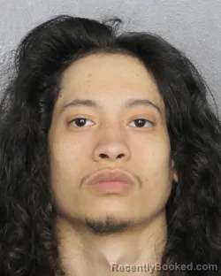 Mugshot of JANSEL TAVARES booked in Broward County, Florida on March 11, 2026