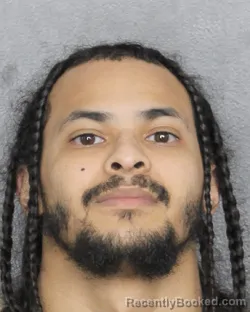 Mugshot of JESSE REYES booked in Broward County, Florida on March 13, 2026