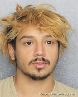 Mugshot of DAVID REYNA