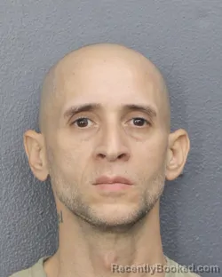 Angel Mario Vicens Mugshot & Arrest Info | Broward County, FL