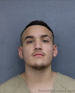 Mugshot of FABIAN RAMIREZ booked in Broward County, Florida on June 17, 2026