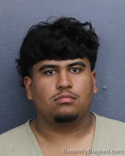Mugshot of ADRIAN VICENTE ZELAYA booked in Broward County, Florida on June 20, 2026