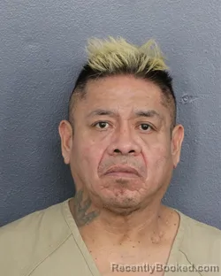 Mugshot of Michael Micco booked in Broward County, Florida on July 17, 2026