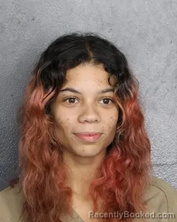 Mugshot of Samantha Angelina Feliz booked in Broward County, Florida on August 2, 2026