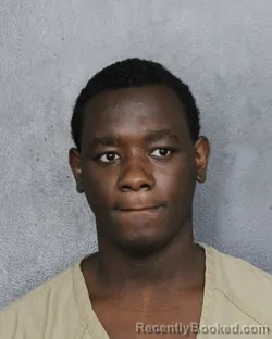 Mugshot of Glydevens Michel