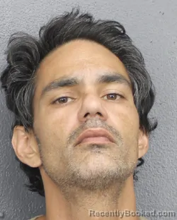 Mugshot of RYAN SANKAR NARAIN