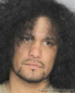 Mugshot of HAROLD MAURICE ARGUIJO