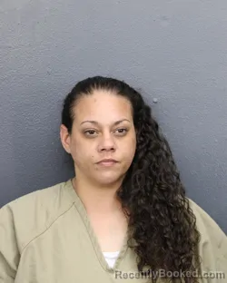 Mugshot of Erica Ines Fernandez booked in Broward County, Florida on August 18, 2026