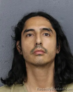 Mugshot of Andre Zair Silva booked in Broward County, Florida on October 2, 2026