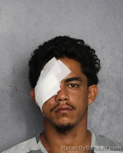 Mugshot of Samuel Enrique Gabot Nunez booked in Broward County, Florida on October 12, 2026