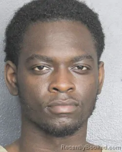 Mugshot of WEDLY VIL