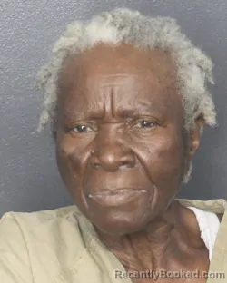 Mugshot of GILLIANE MITIL