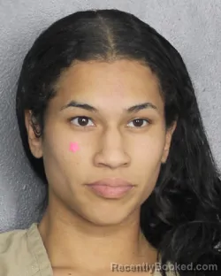 Booking photo from Broward County, Florida