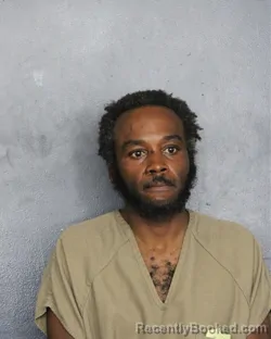 Mugshot of Alex David Theodore booked in Broward County, Florida on July 17, 2026